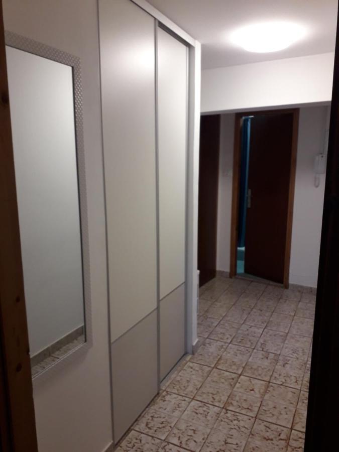 Apartments Pepe Novigrad  Екстер'єр фото