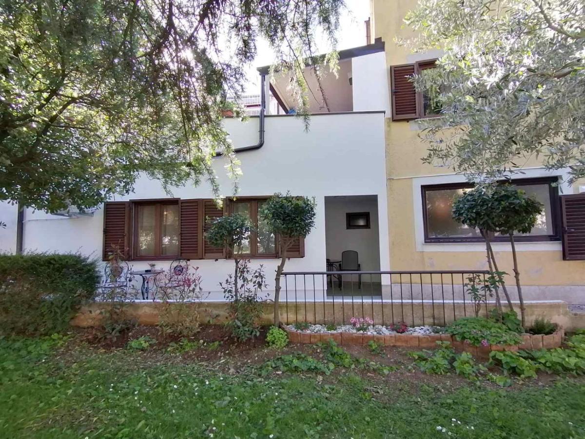 Apartments Pepe Novigrad  Екстер'єр фото