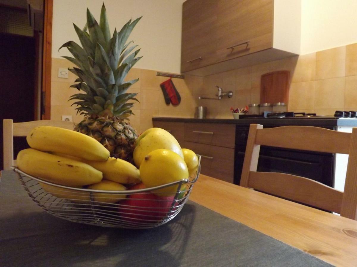 Apartments Pepe Novigrad  Екстер'єр фото